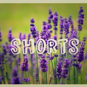 🌻Shorts🌻